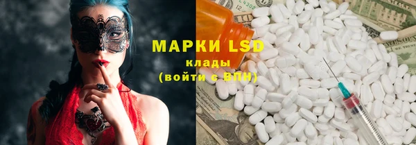 шишки Бронницы