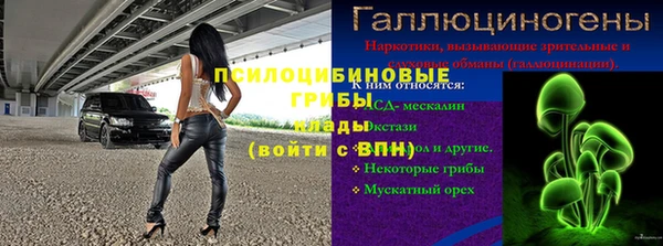 шишки Бронницы
