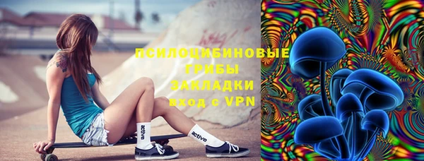 гидропоника Бородино