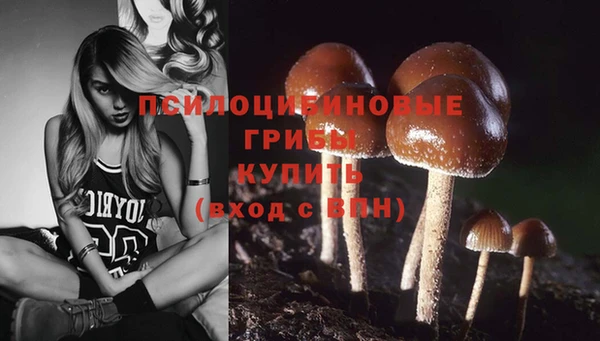 шишки Бронницы
