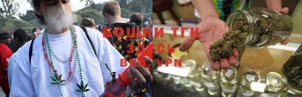 шишки Бронницы